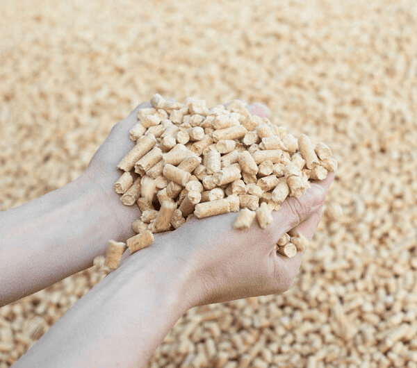 Med PremiumPlus går vi et stort skridt videre